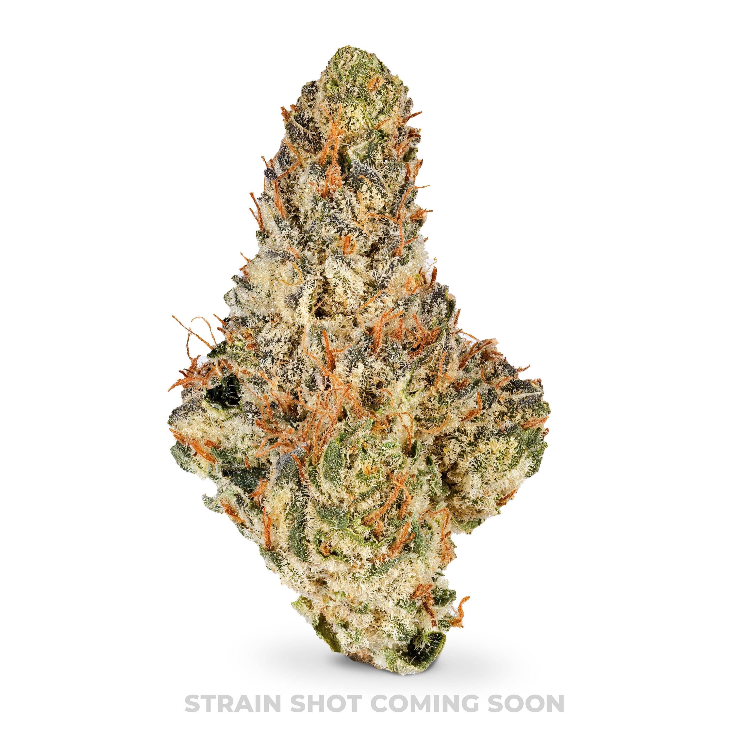 Bigz Recreational Cherry Slice