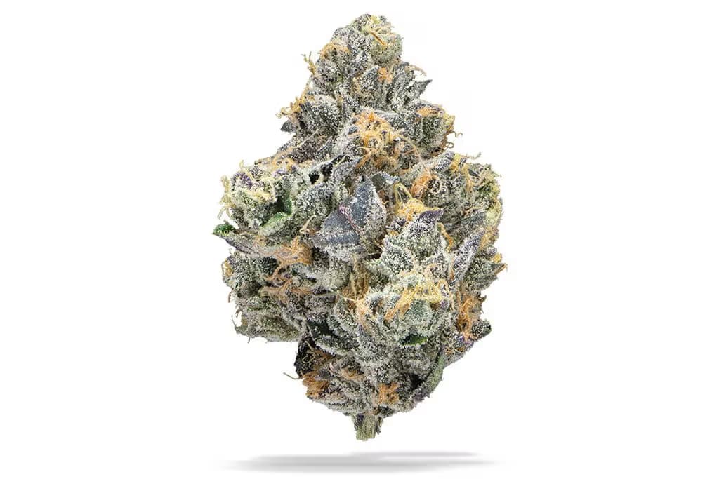 Find. Lemon Cherry Sherbert