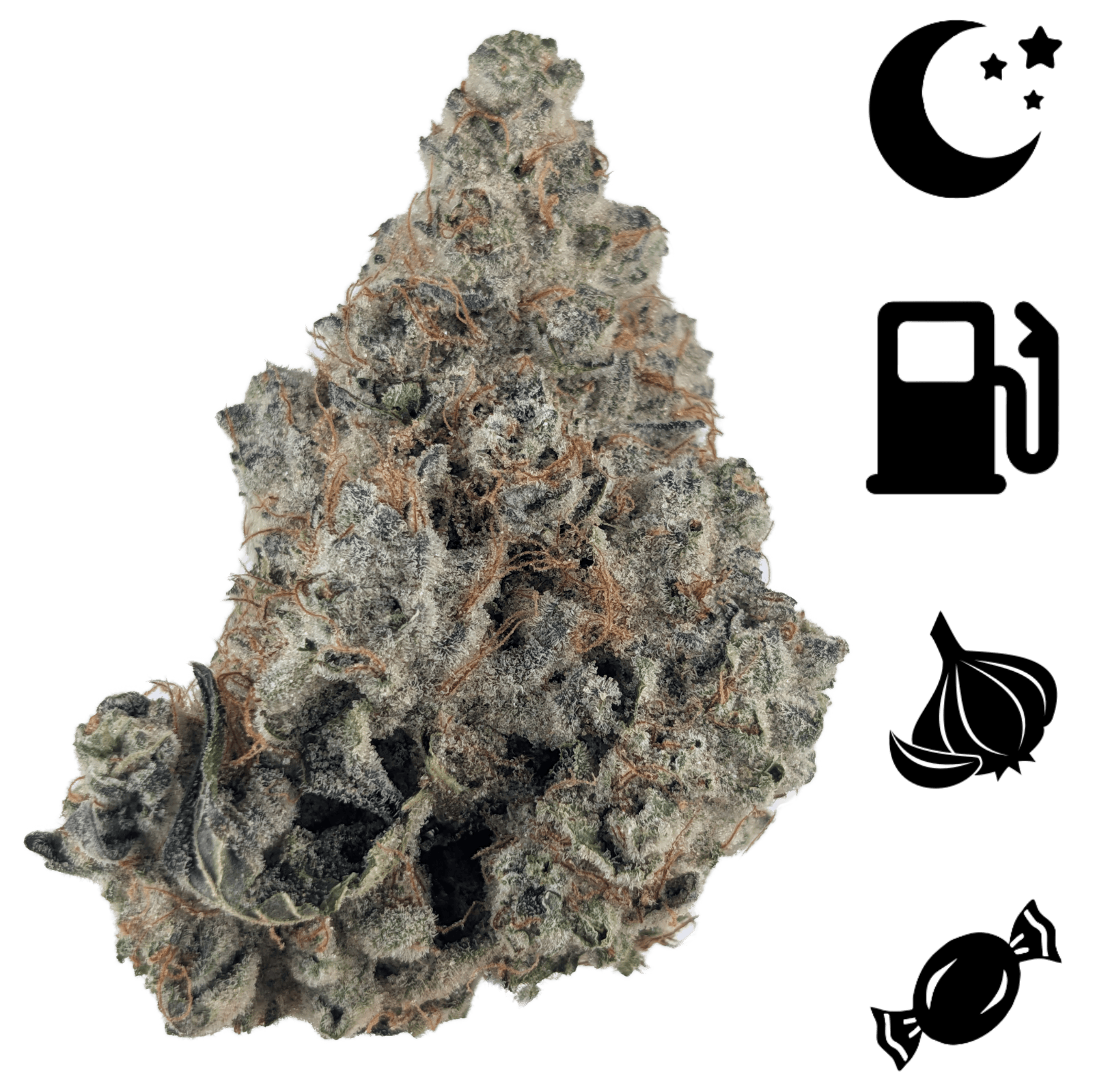 Elysium Cultivation MENDOCINO - BULK FLOWER