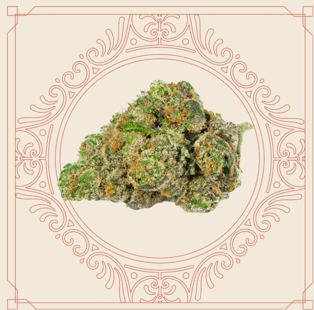 Rooted First Lady | 28g