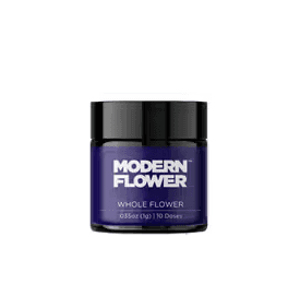 Modern Flower Dark Rainbow Flower