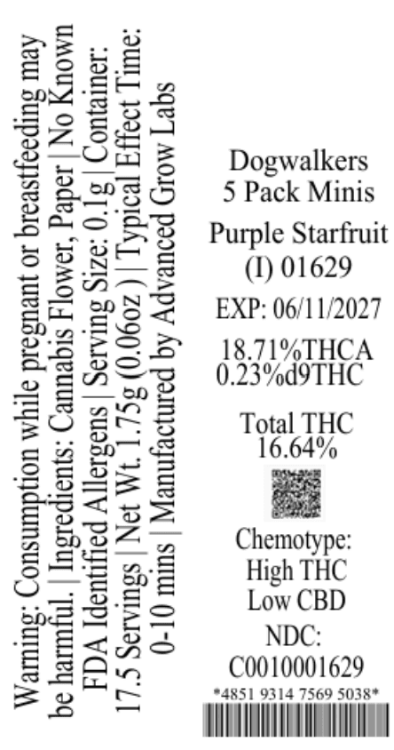 DOGWALKERS Dogwalkers 5 Pack Minis Purple Starfruit (I) 01629