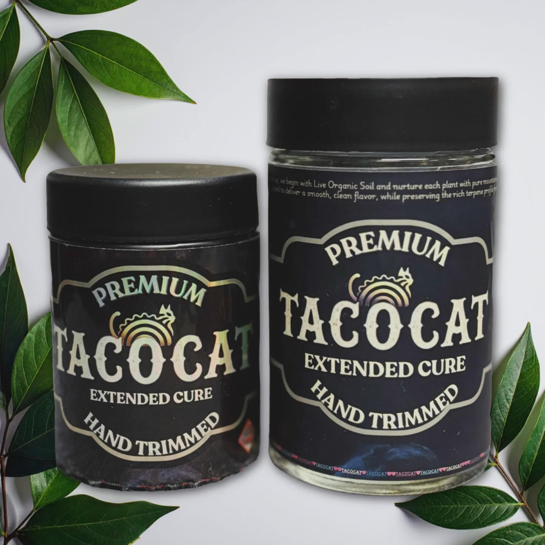 TacoCat TACOCAT | Trich Beast | 3.5G