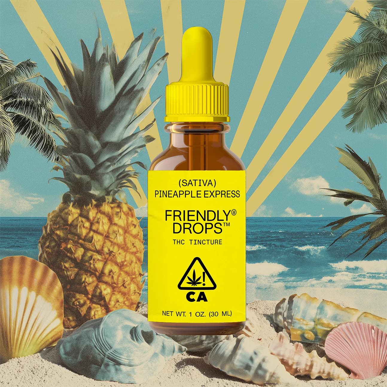 Friendly Brand Pineapple Express (1000mg)