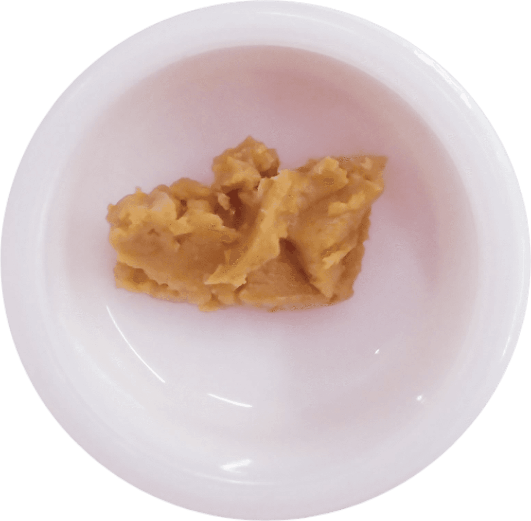 Dabble Budder - River Stone Fruit