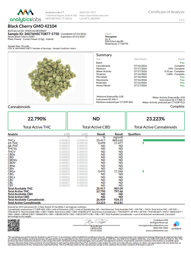 Theraplant Black Cherry GMO (H) Flower C0040001936