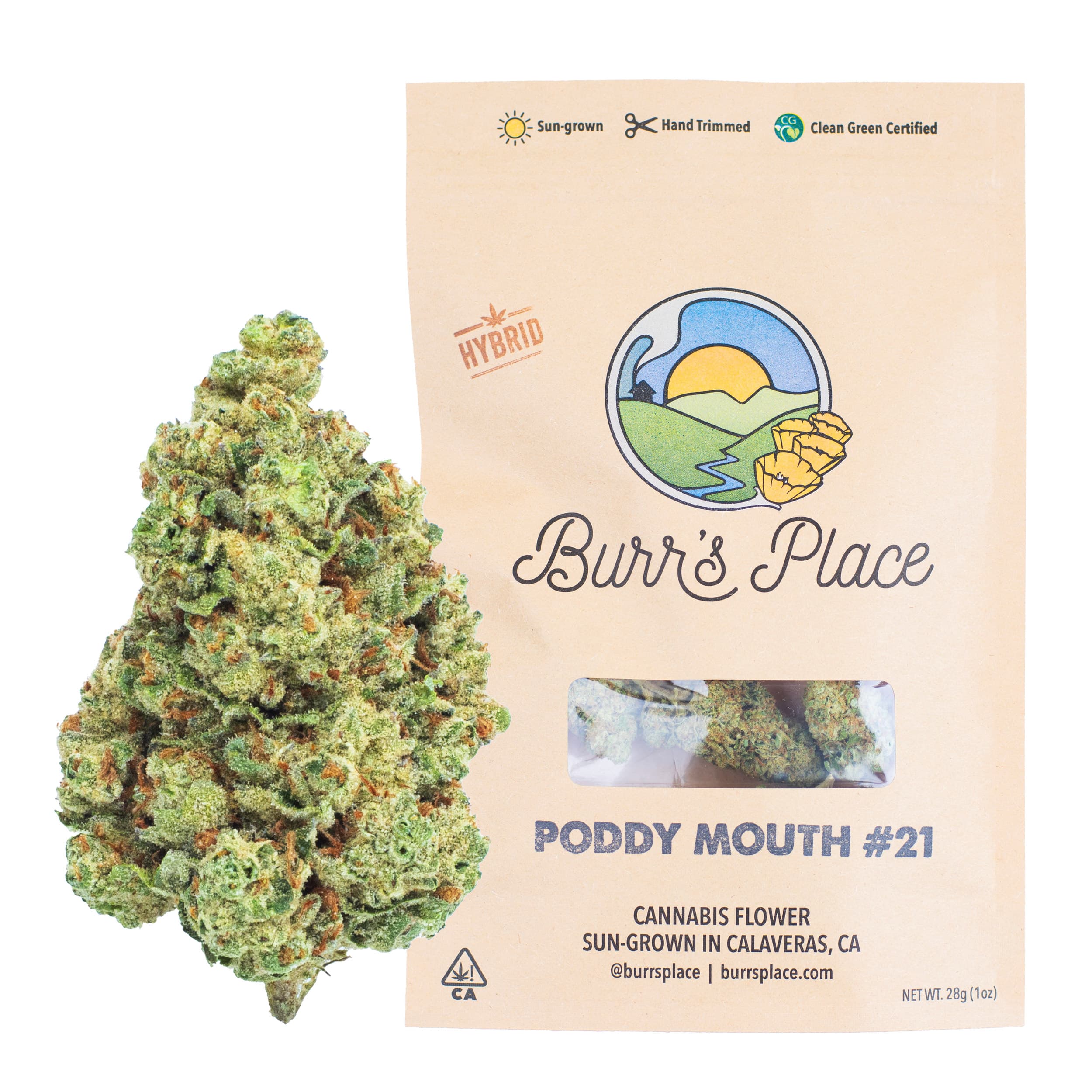 Burr's Place