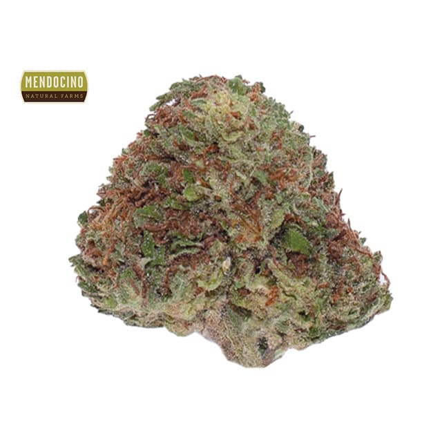 CAM Jack Herer