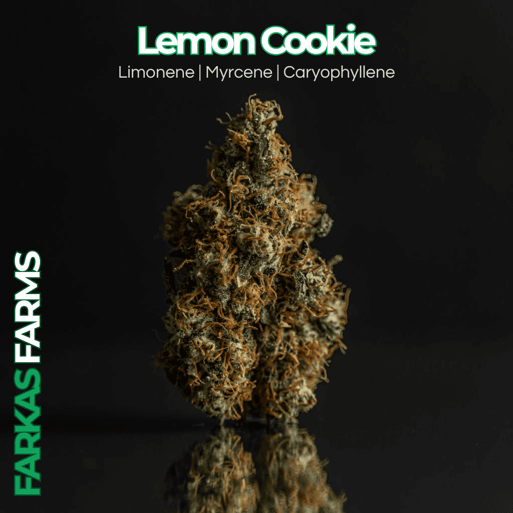 Farkas Farms Lemon Cookie | 0.75g Preroll