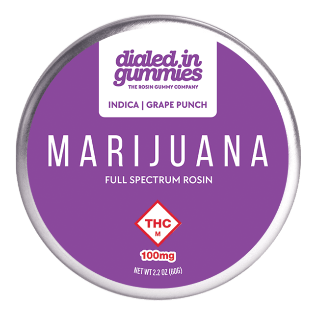 Dialed In Gummies 300mg - Grape Punch - Rosin Gummies (10pk)