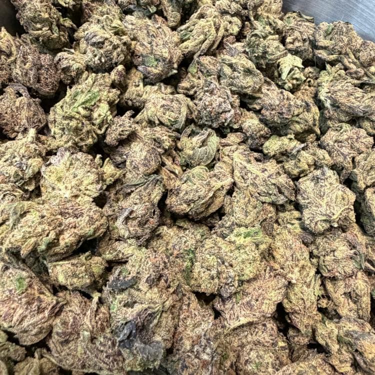 Tangleweed Farm Jelly Donutz - Bulk