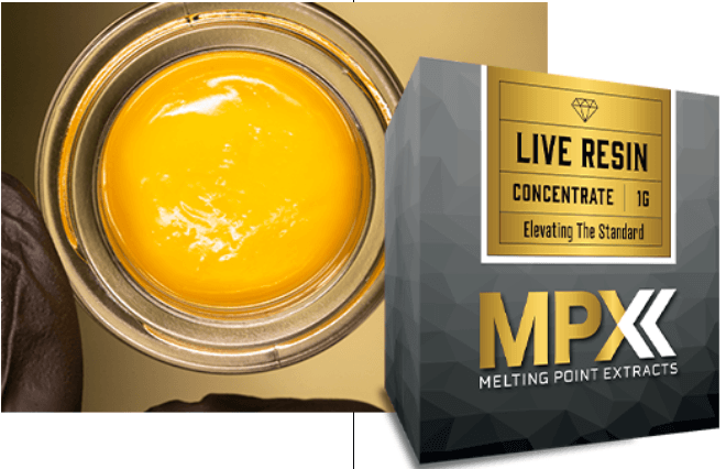 MPX MPX - Motorbreath - 1g - Live Resin Batter