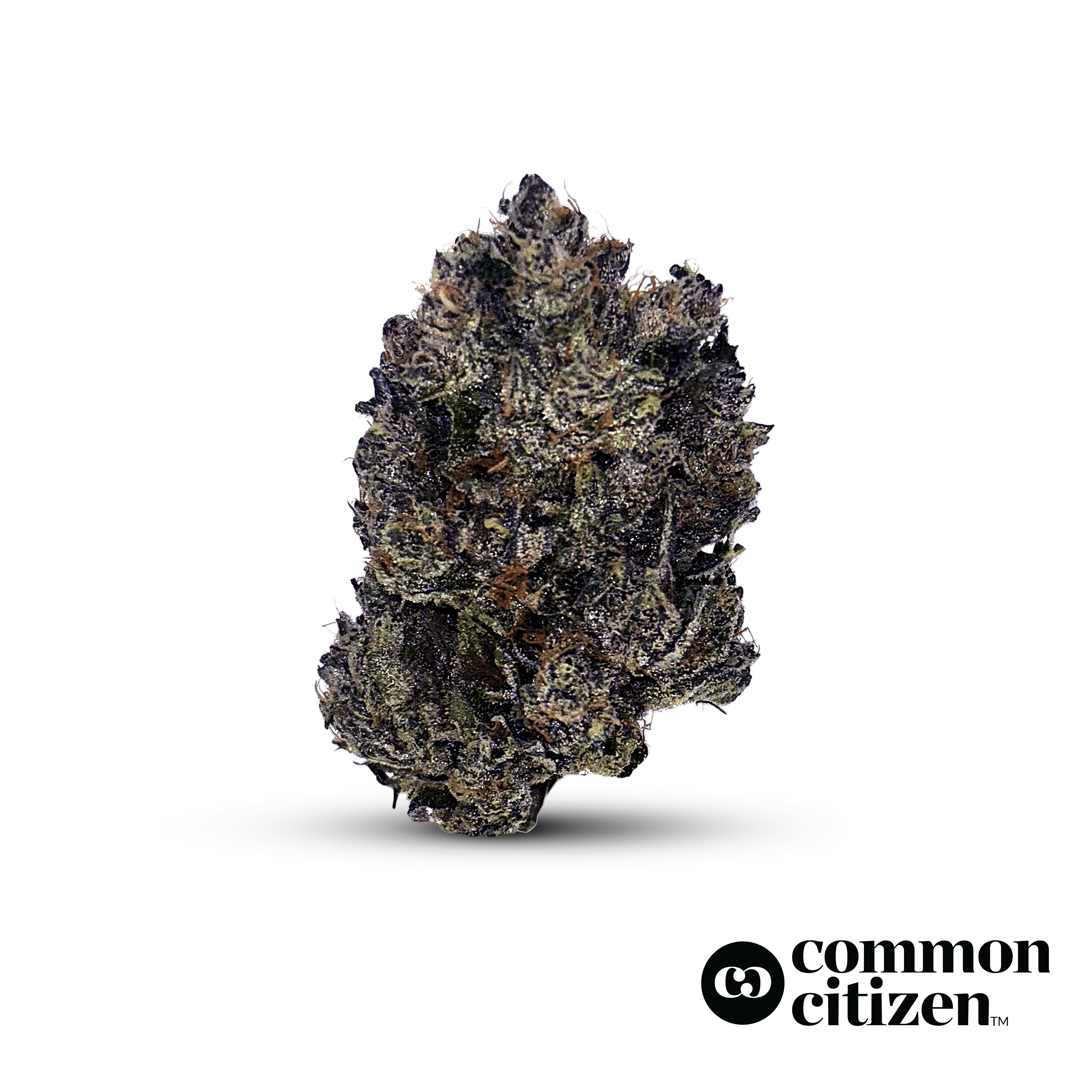 Common Citizen OGKB | 14g