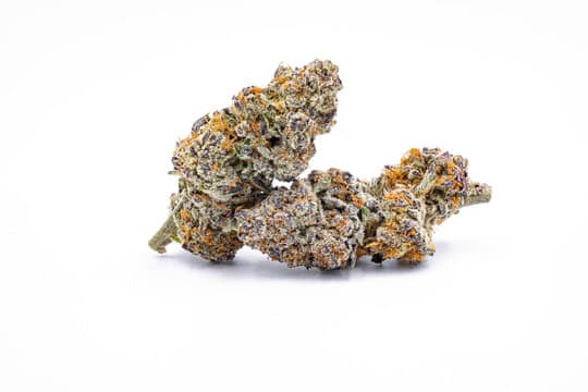 CURA Botanicals Cura Dance World Flower 3.5g (1:1)