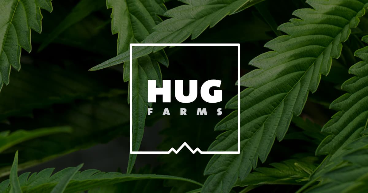 HUG Farms Hawaiian Rain | Flower | 3.5G |