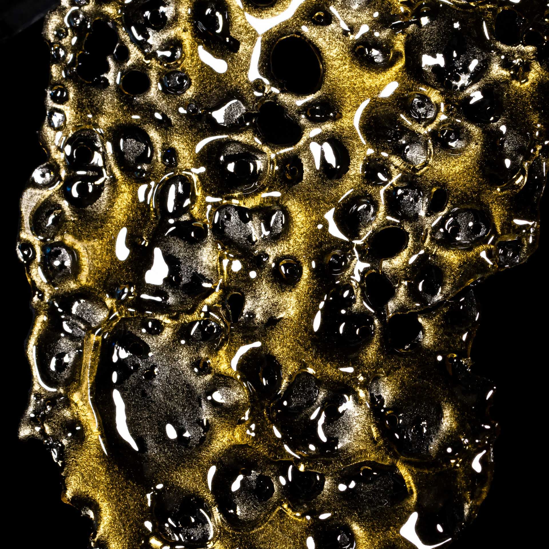 CANAMO