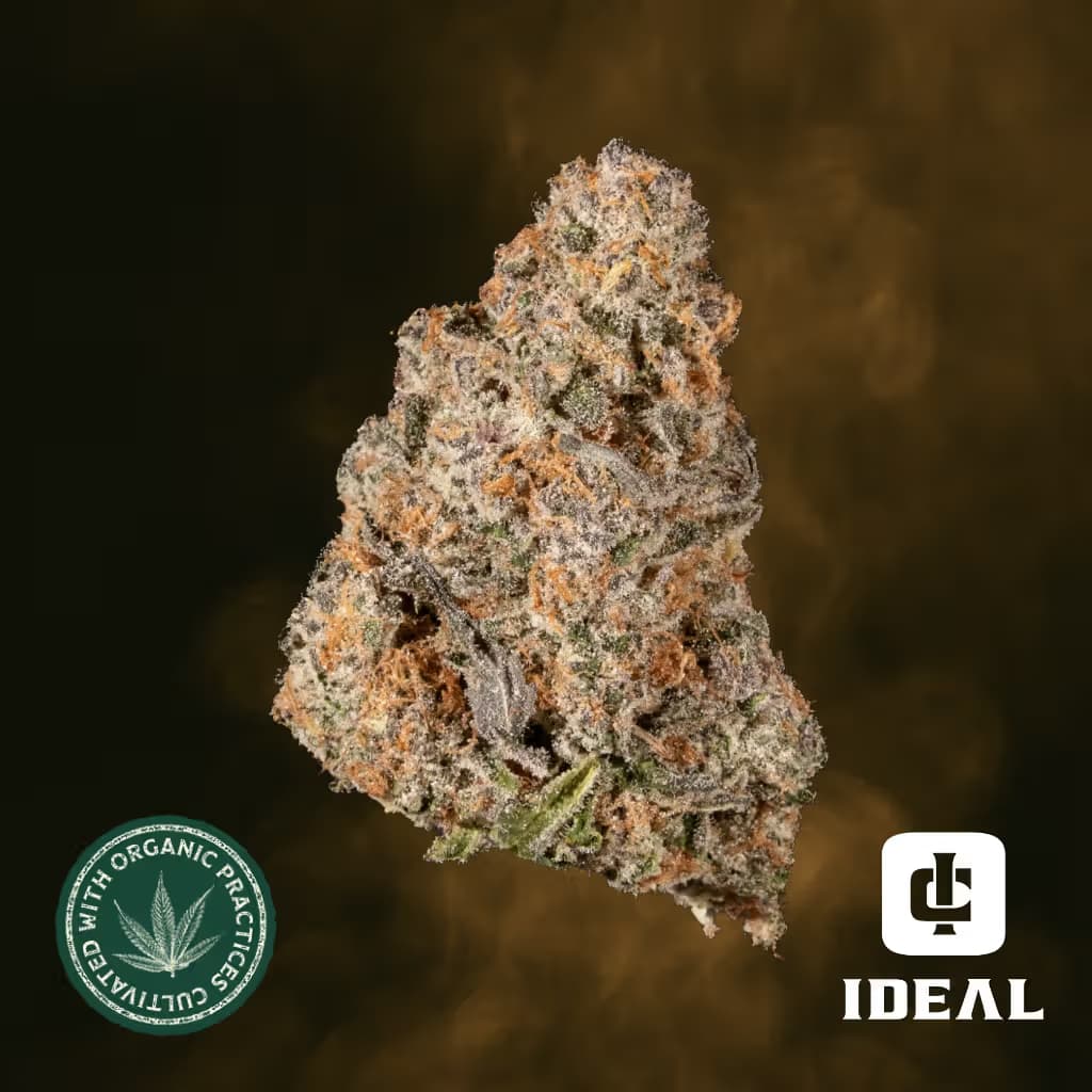 Ideal Cannabis Cascade Orange #5
