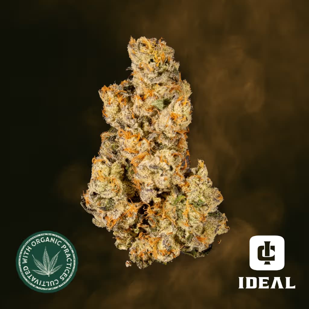 Ideal Cannabis