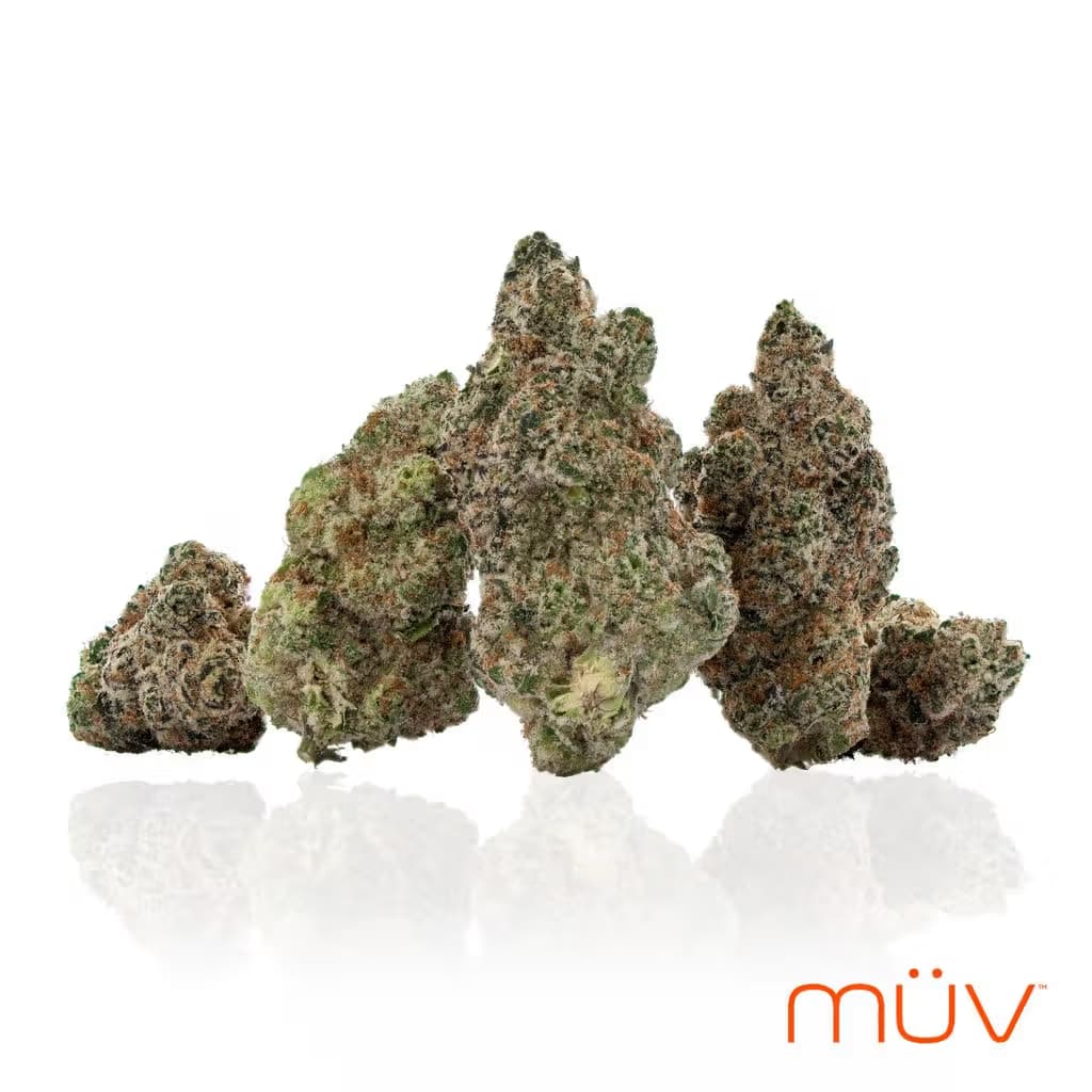 MÜV Gator Breath