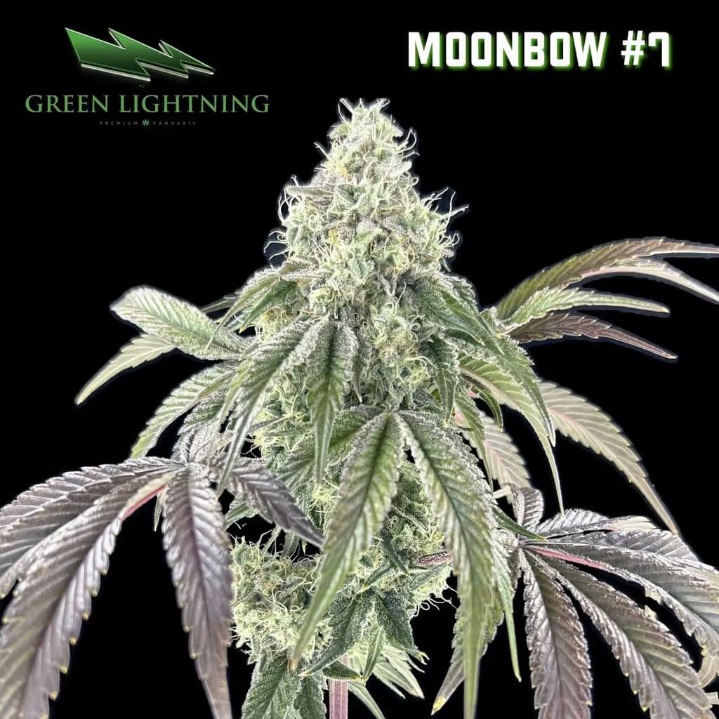 GREEN LIGHTNING