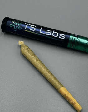TS LABS RAINBOW CHIP