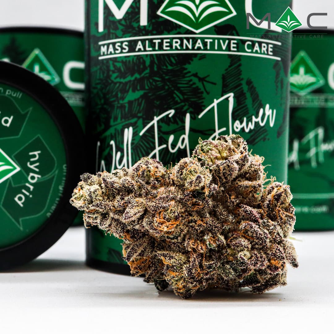MAC Grape Zorilla 1/8 28.48% TAC 3.29% Terpenes