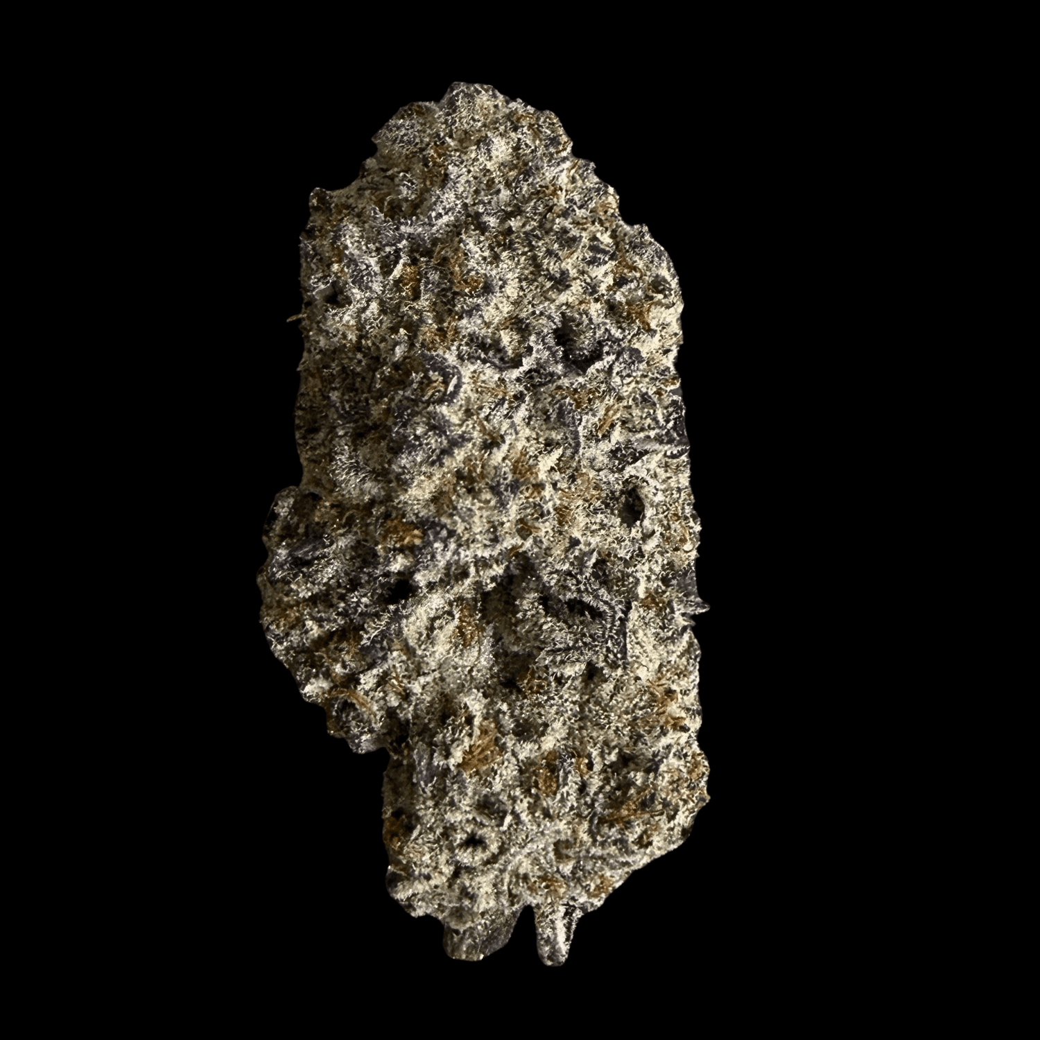 Gruv GruV | 14g | Black Truffle