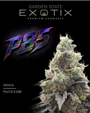 GARDEN STATE EXOTIX P85 - 28g Flower