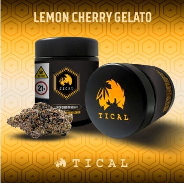 GARDEN STATE EXOTIX TICAL - Lemon Cherry Gelato 3.5g