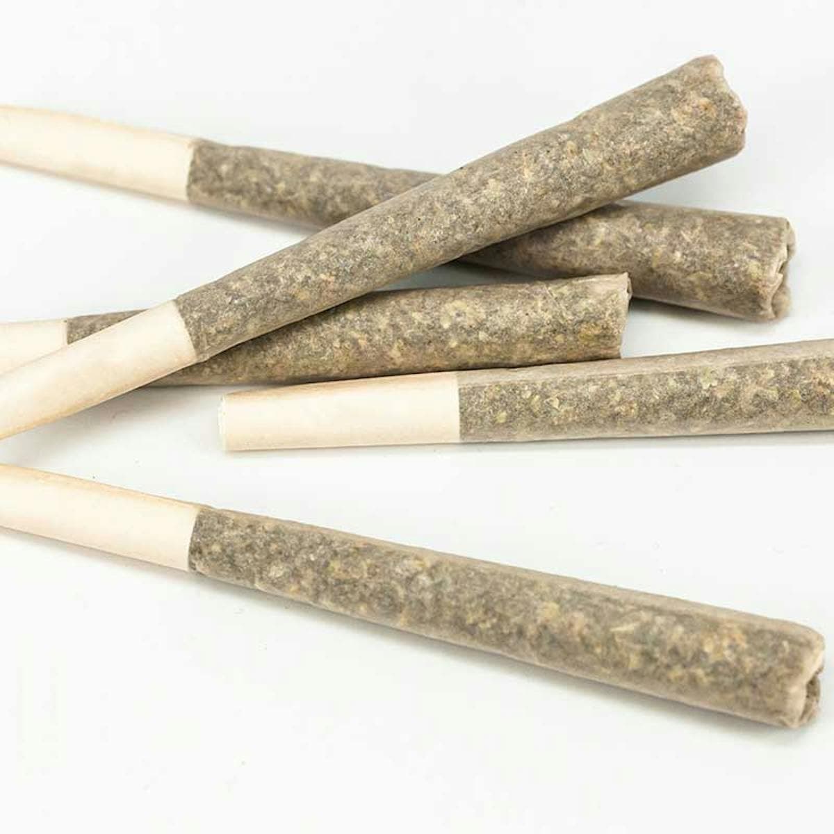 Daybreak Daybreak Got Caught Prerolls 10pk | 5g