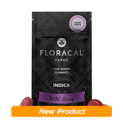 FloraCal Farms Wild Berry Live Rosin Gummies - Honey Runtz
