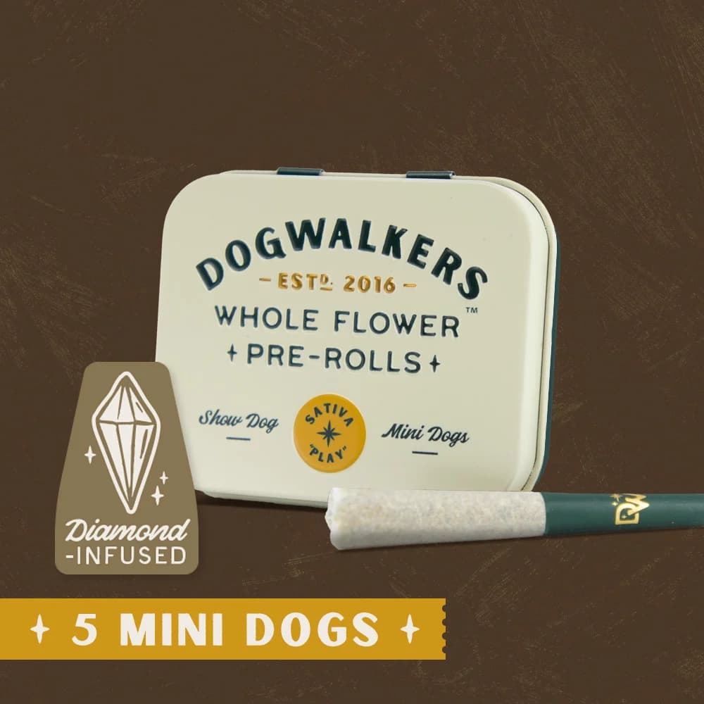 DOGWALKERS