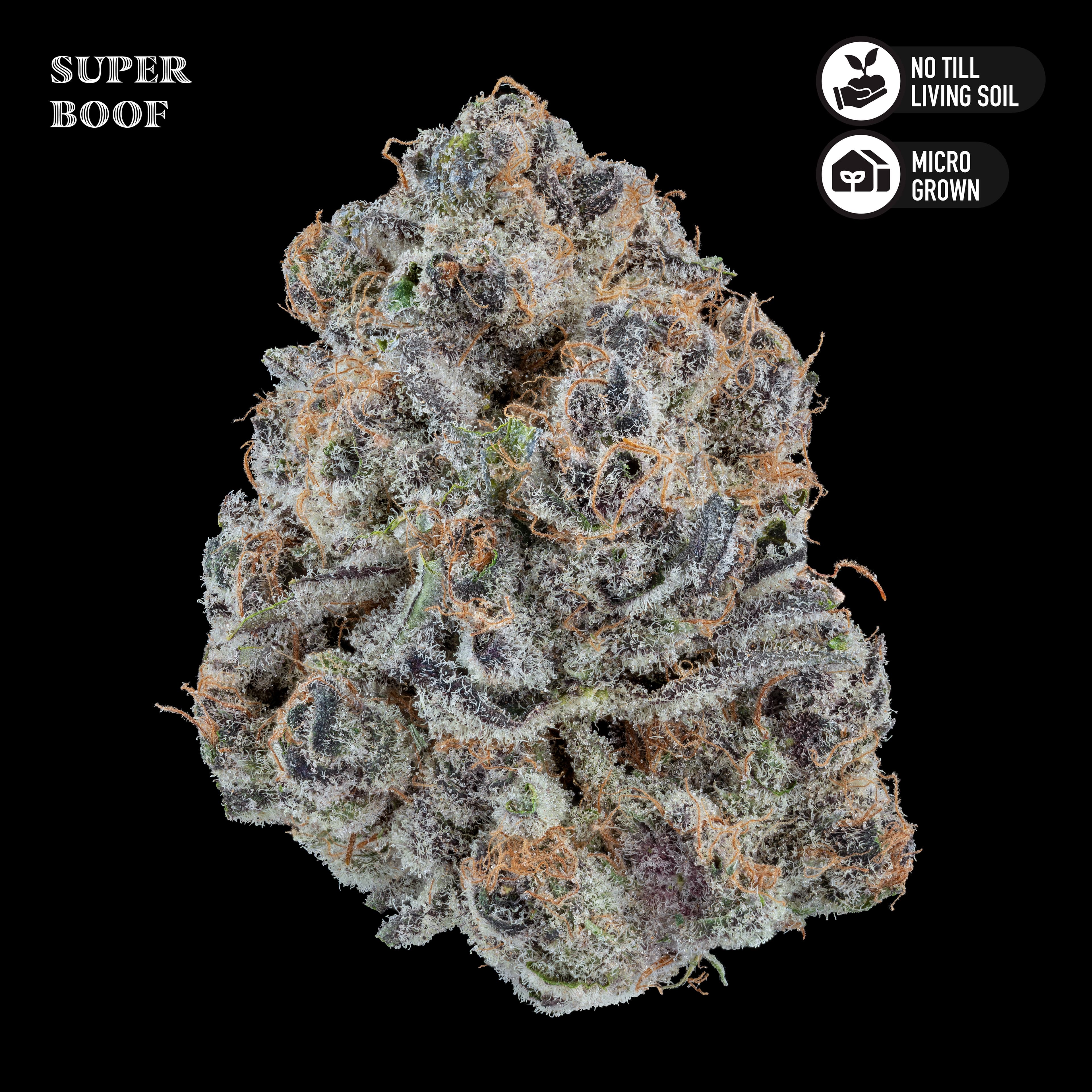 Royal Genetics Super Boof 3.5G Flower Jar