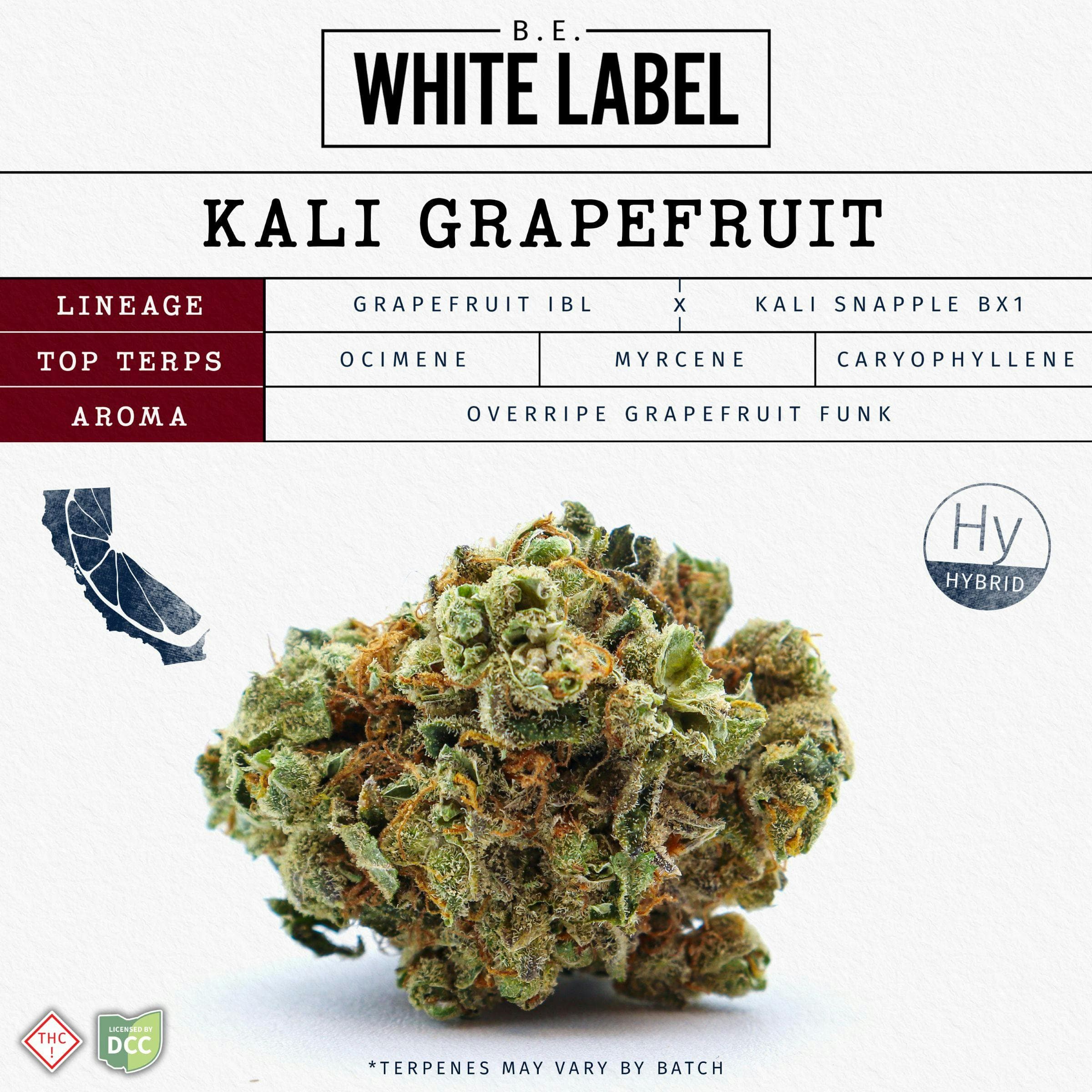 Butterfly Effect by Grow Ohio Kali Grapefruit | 2.83g