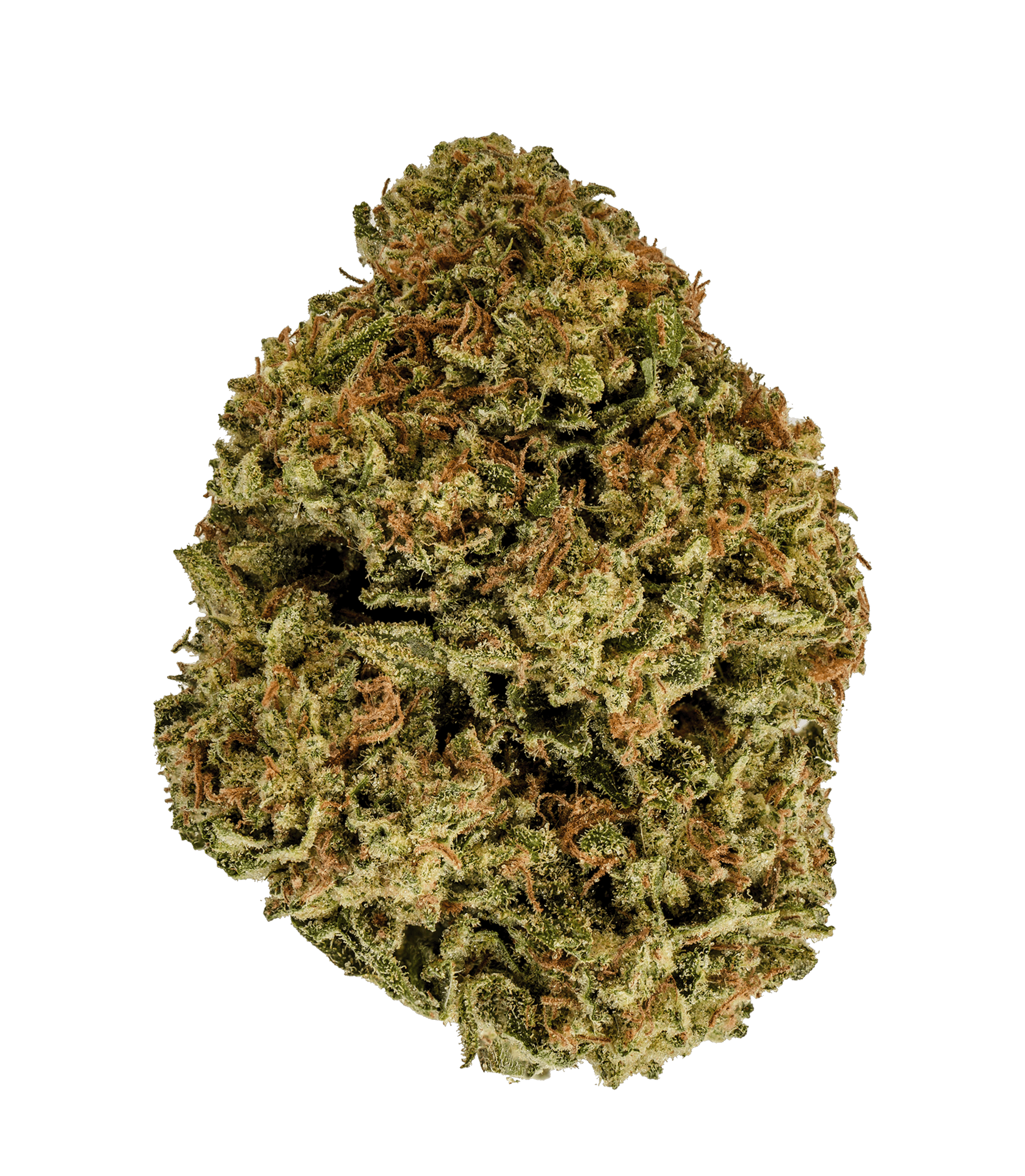 Jonny Chronic