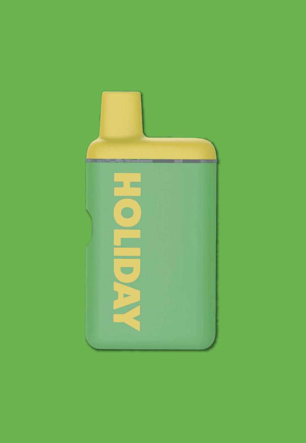 Holiday DAY TRIP - HOLIDAY - 0.5G - AIO