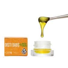 MICRO GREENZ CONCENTRATE (DISTI DAB) - - HYBRID - ROOT BEER