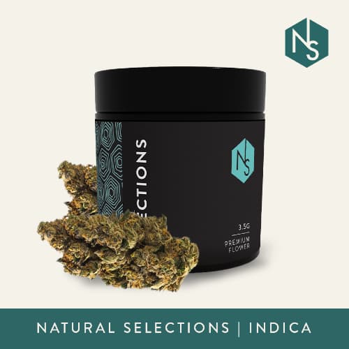 Natural Selections Lemon Cherry Gelato Flower