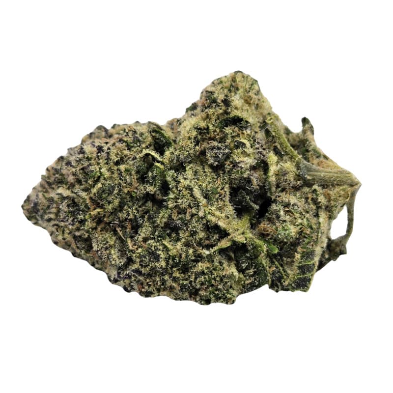 Vireo Blueberry Sugar