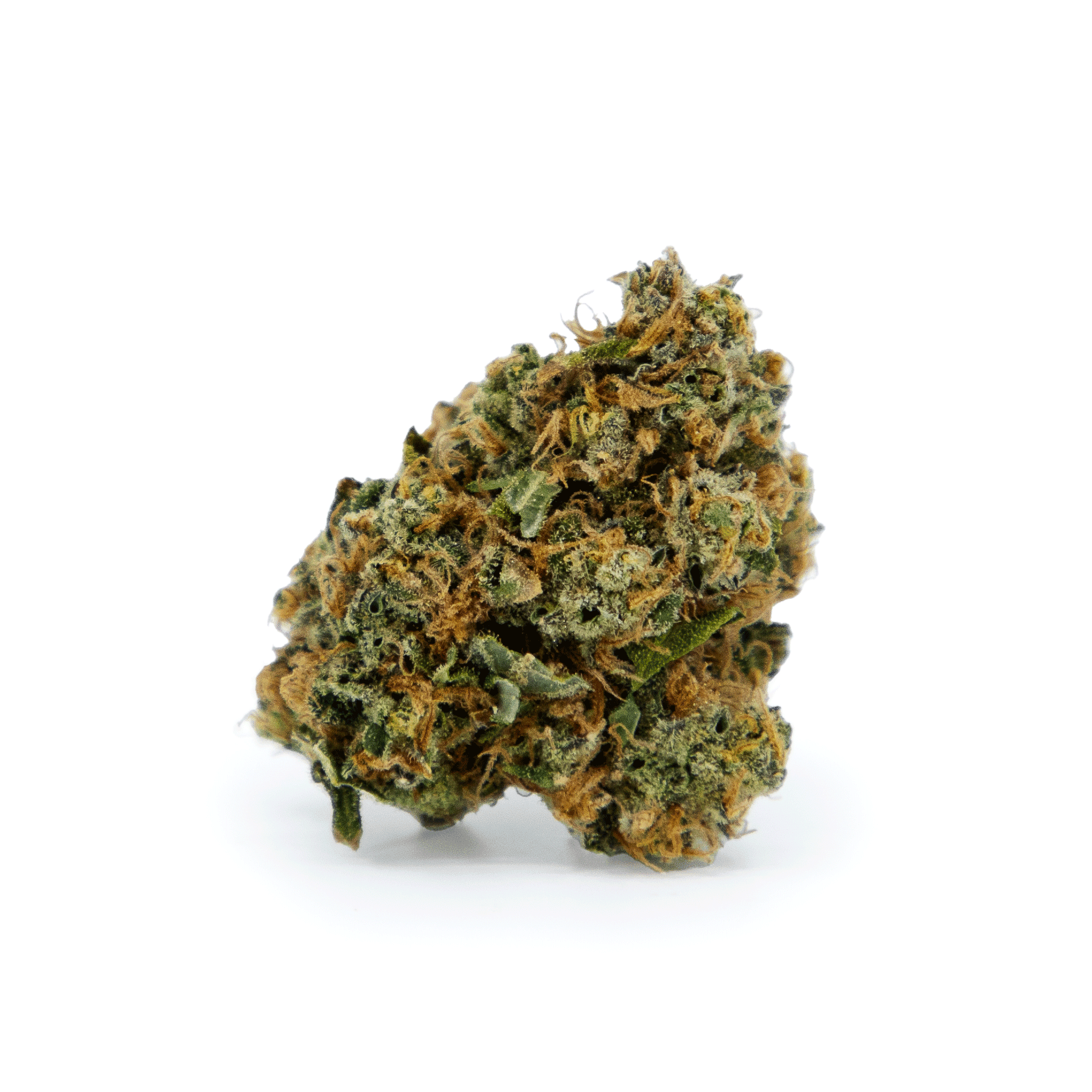 Six Labs Apollo  | Deli Smalls