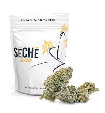 SeCHe Seche Grape Bullz Flower