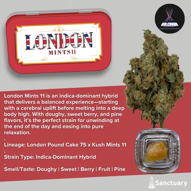 Volcanna London Mints 11 Sauce
