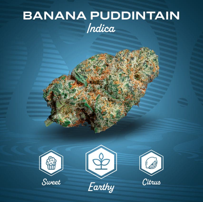 Mission Cannabis Flower | Mission | Banana Puddintain | 14g