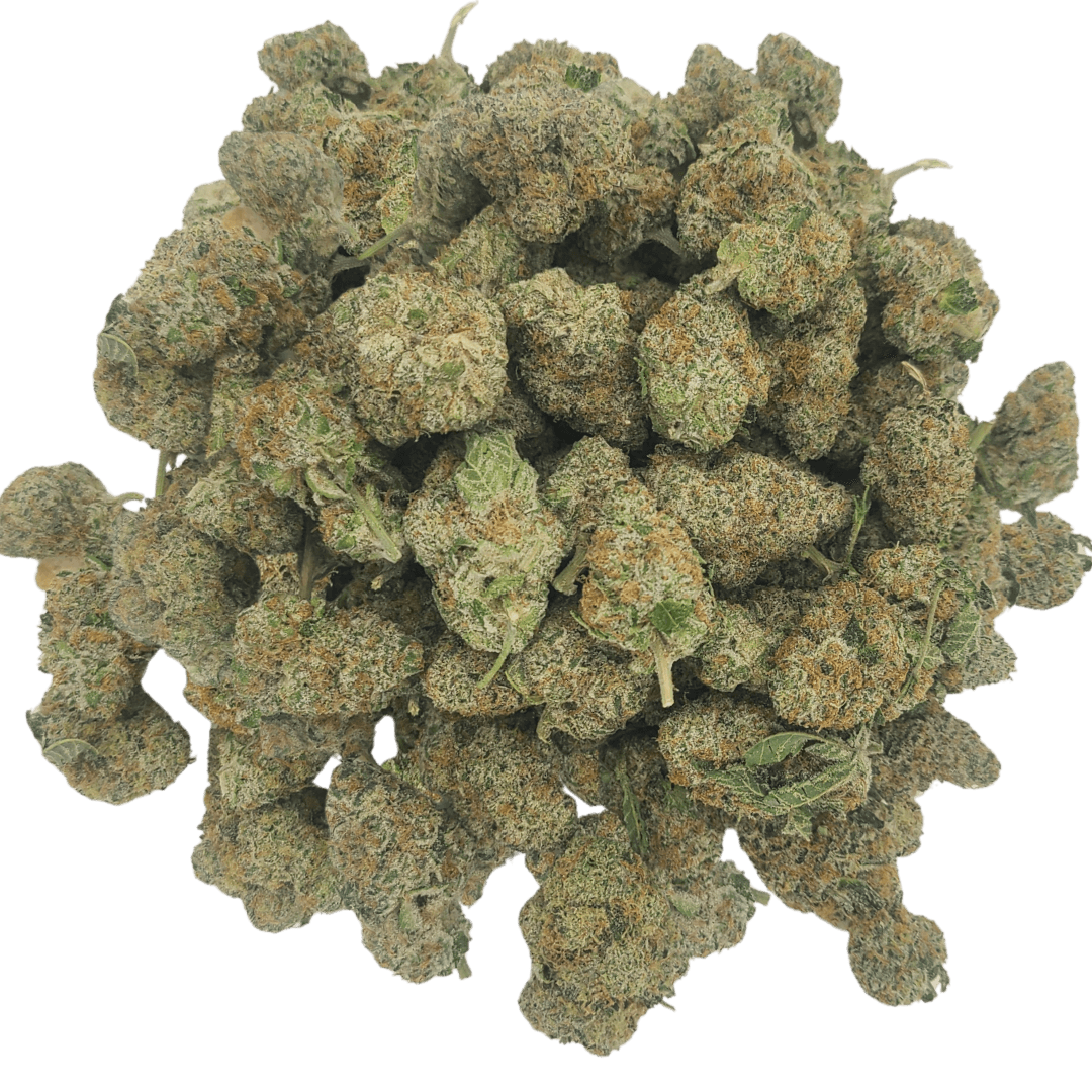 Six Labs Six Labs | Curveball