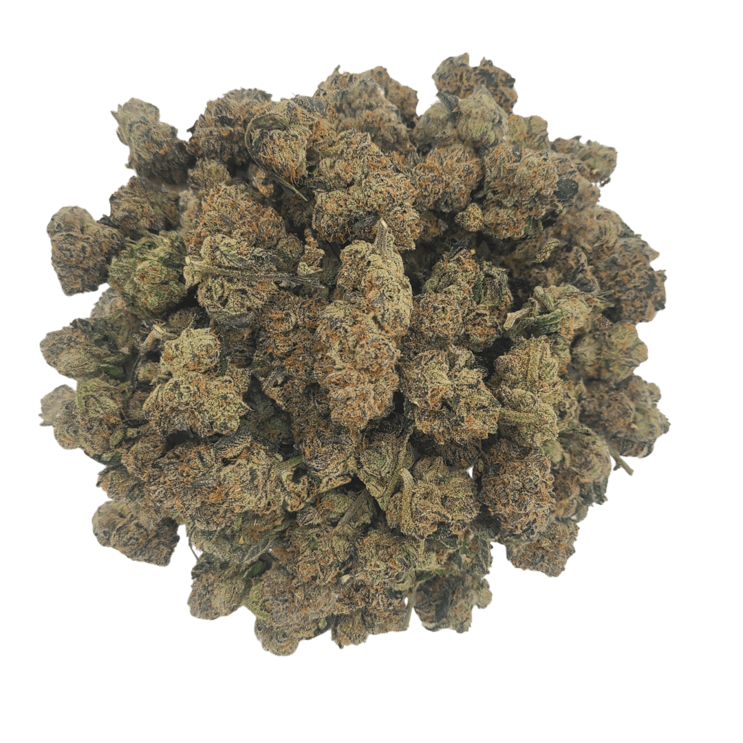Six Labs Six Labs | Fort Knox