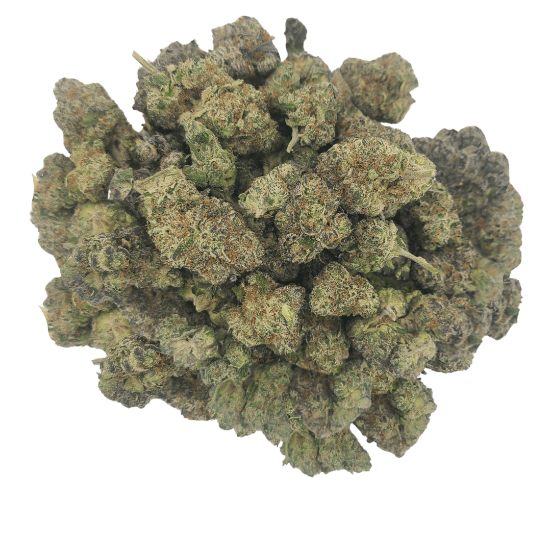 Six Labs Six Labs | Gluttony