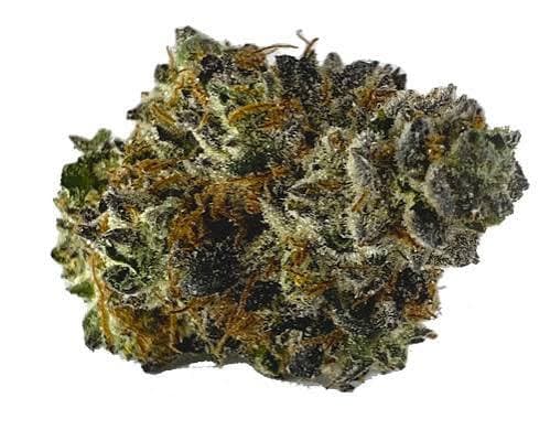 Tango Jack Sudz | BULK