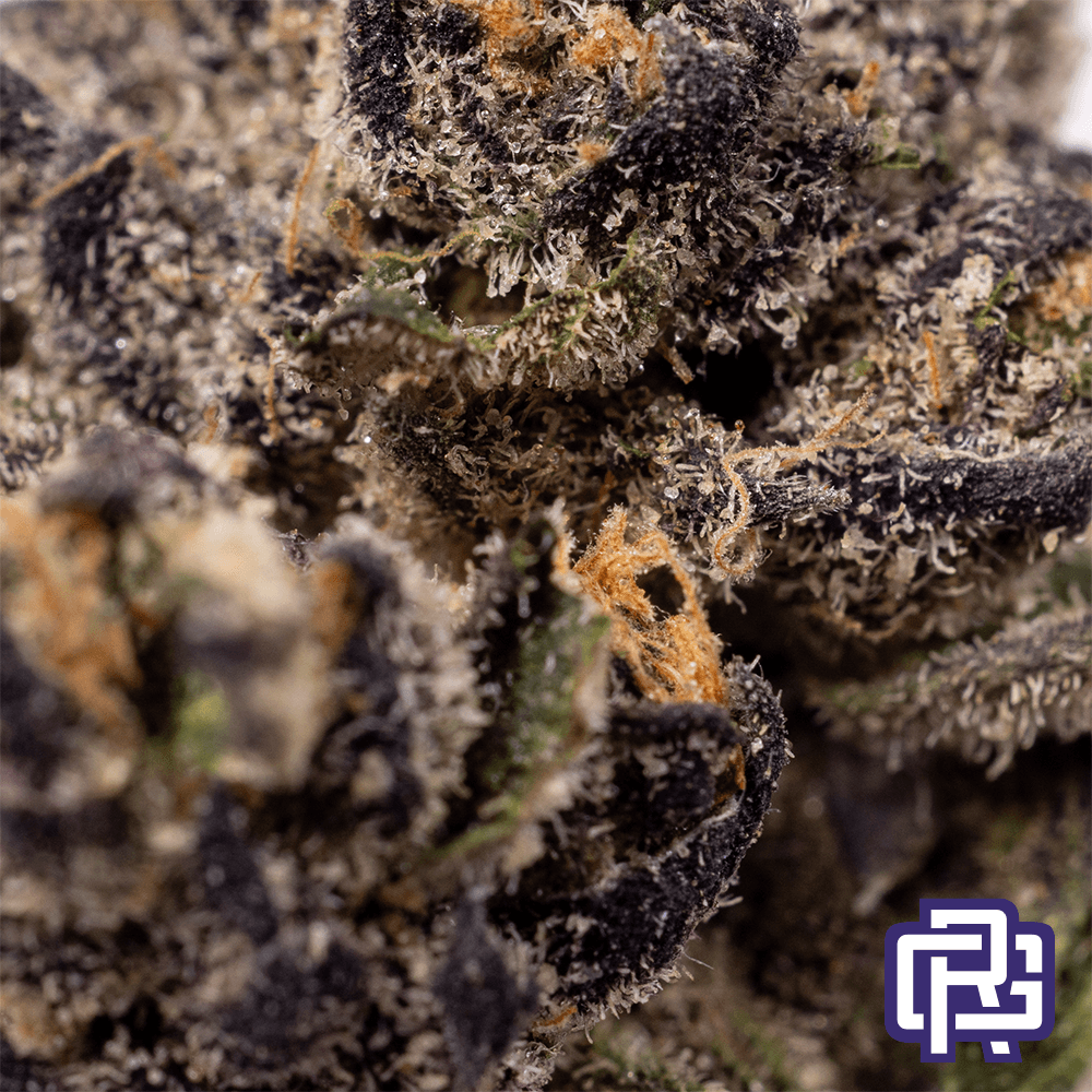 Rosebud Growers Midnight Ice Cream Flower | Rosebud