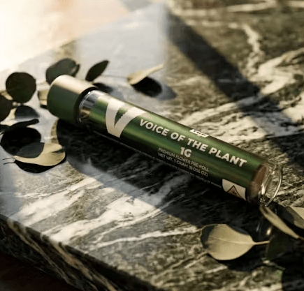 Voice of the Plant GELATO 33 | Single Pre-rolls