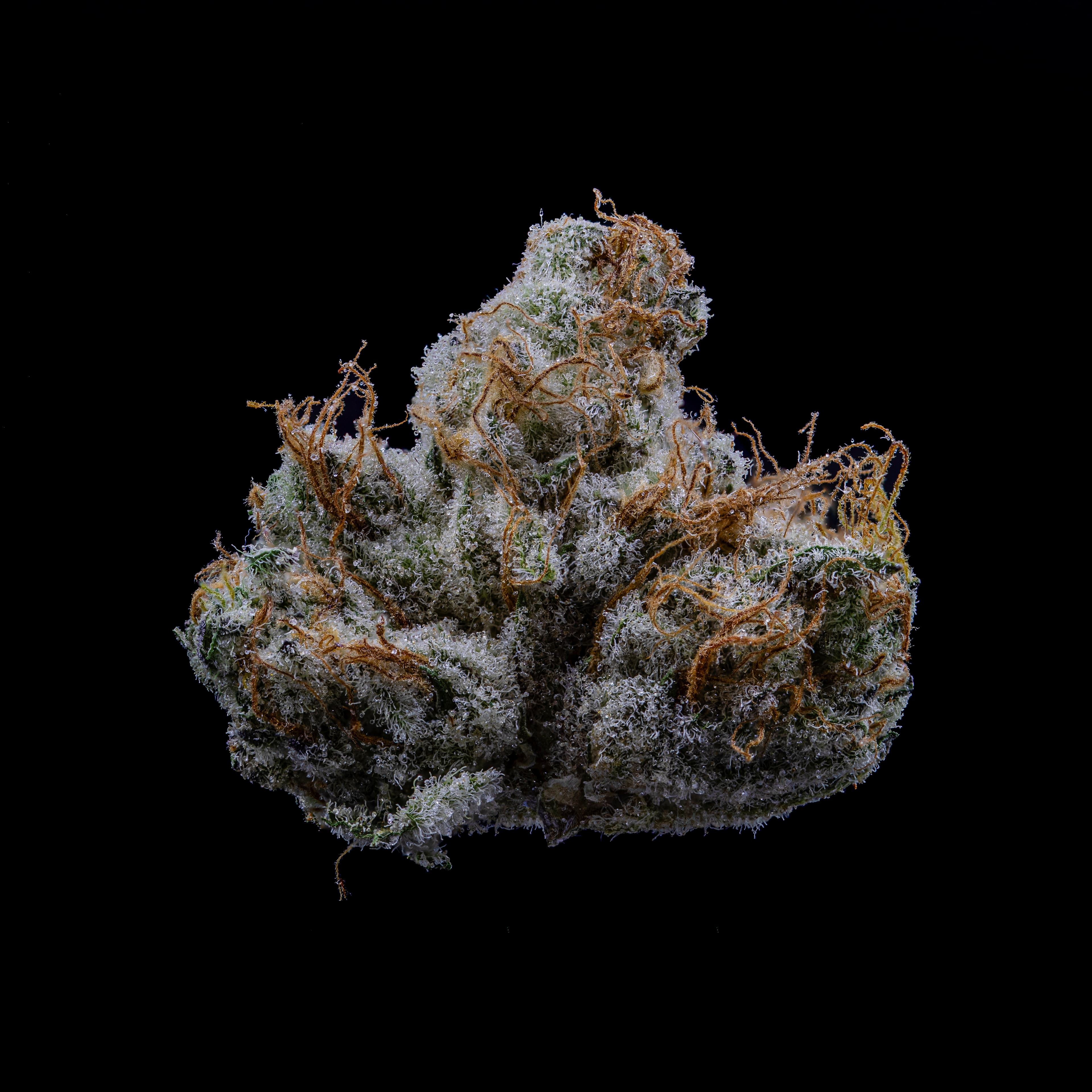 NoBo Cannabis Ice Cream Mints